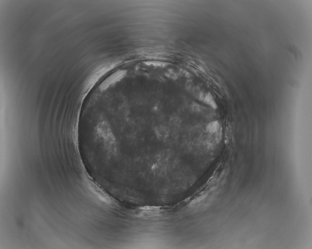 X0000110960052200907101336