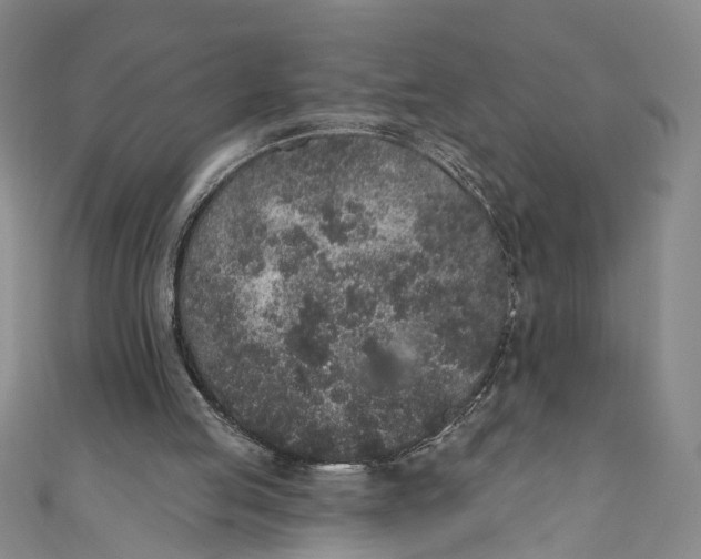 X0000110960053200907101336