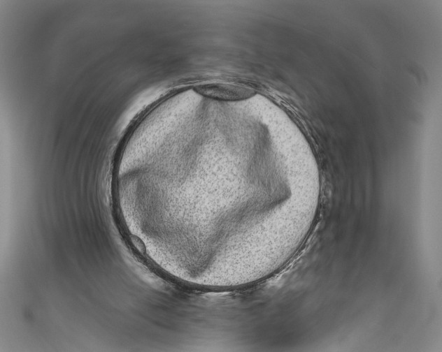 X0000110960054200907101336