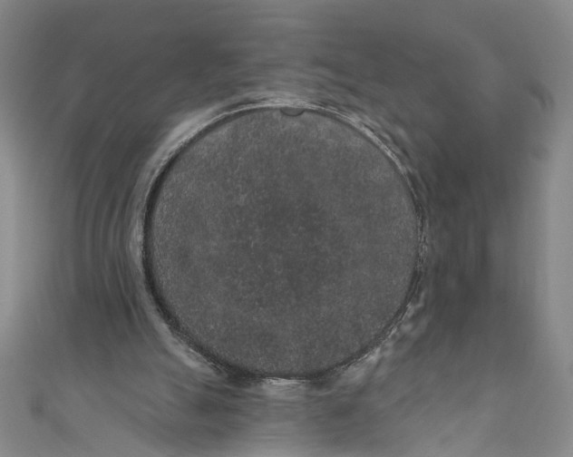 X0000110960055200907101336