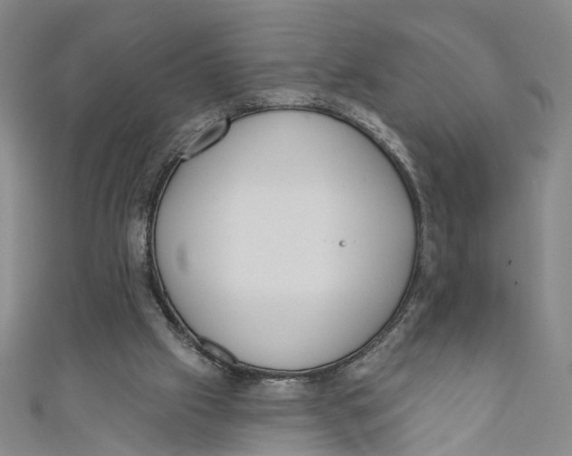 X0000110960057200907101336