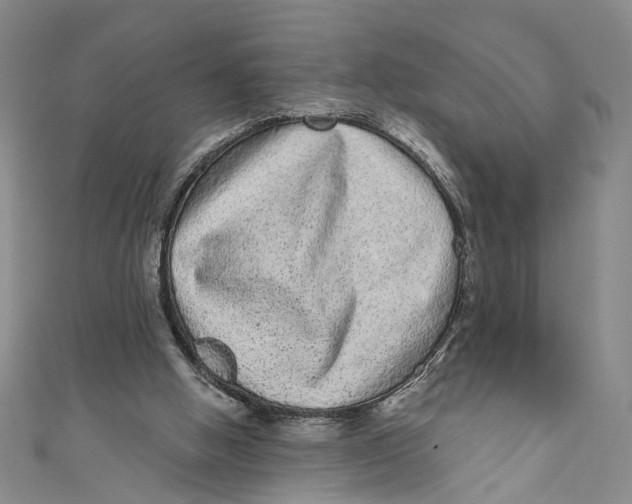 X0000110960058200907101336