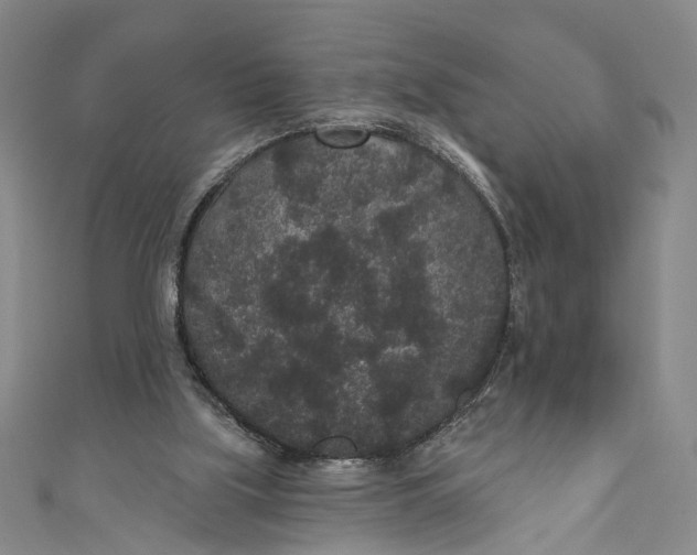 X0000110960059200907101336