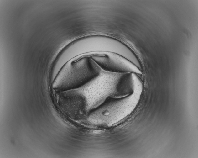 X0000110960060200907101336