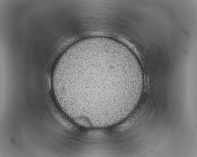 X0000110960061200907101336