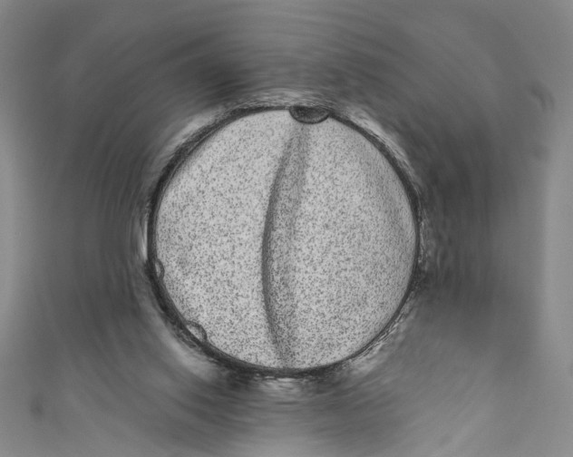 X0000110960062200907101336