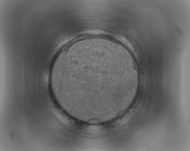 X0000110960063200907101336