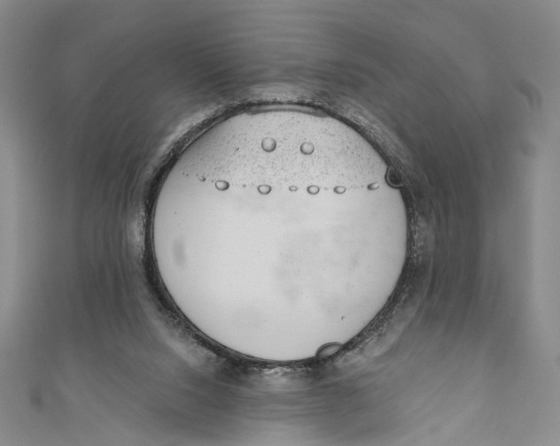 X0000110960064200907101336