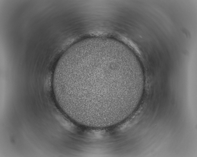 X0000110960065200907101336