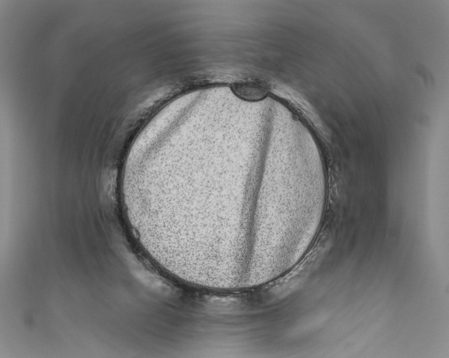 X0000110960066200907101336