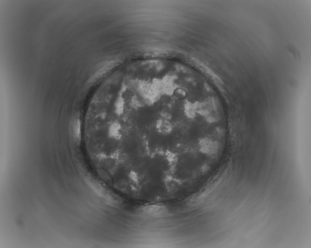 X0000110960067200907101336