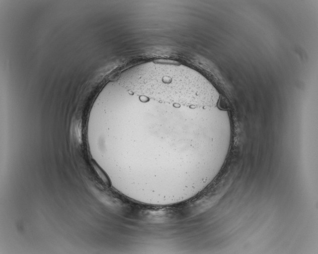 X0000110960068200907101336