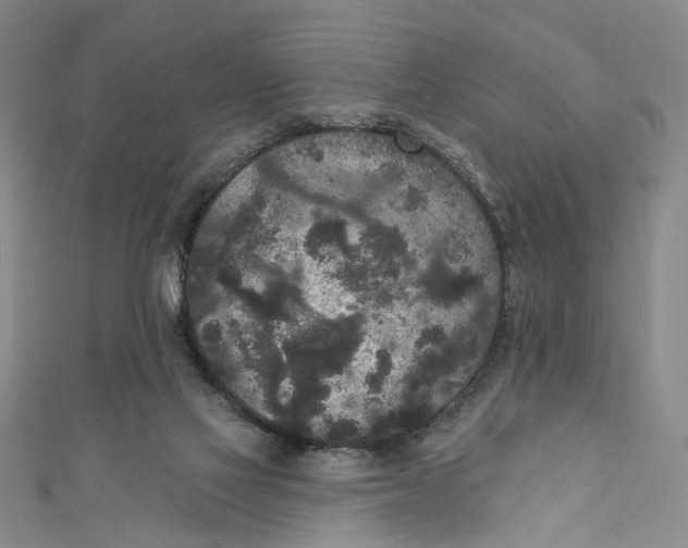 X0000110960069200907101336