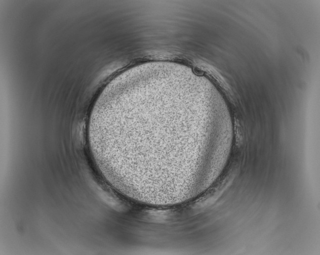 X0000110960071200907101336