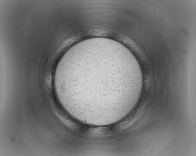 X0000110960072200907101336