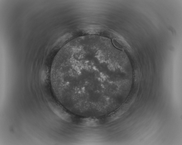 X0000110960073200907101336