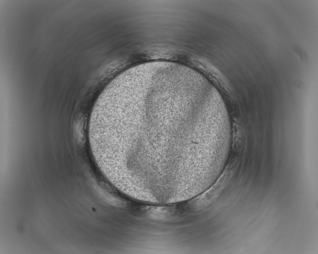 X0000110960074200907101336