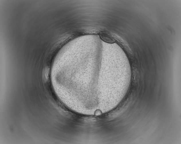 X0000110960075200907101336