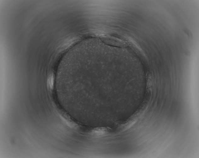 X0000110960076200907101336