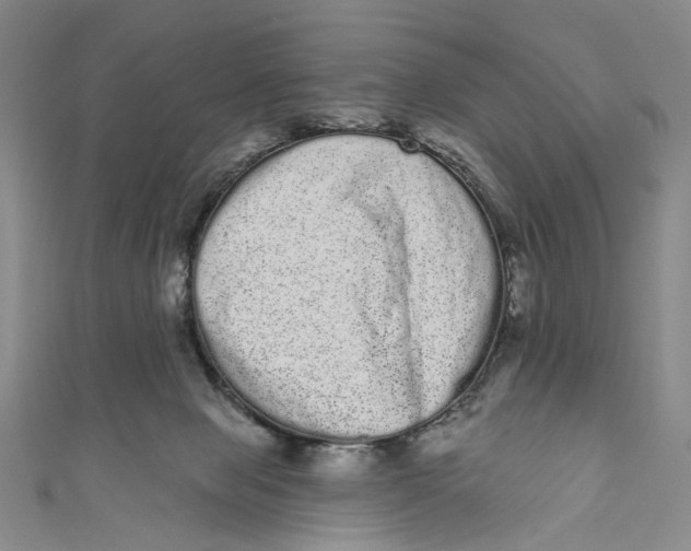 X0000110960077200907101336