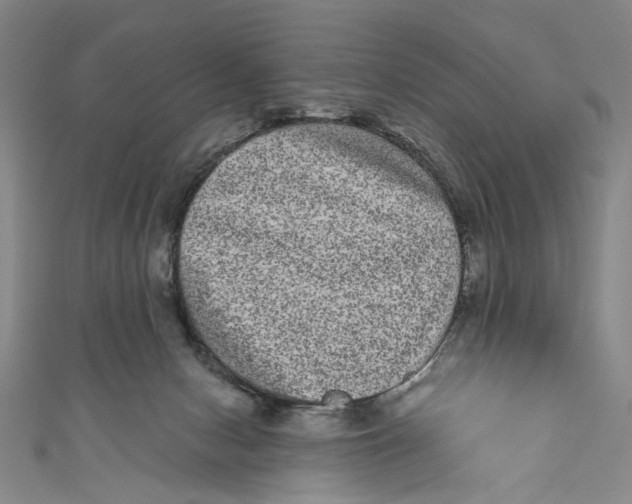 X0000110960078200907101336