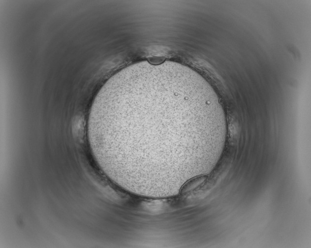 X0000110960079200907101336