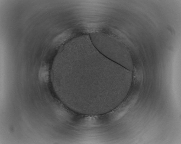 X0000110960080200907101336