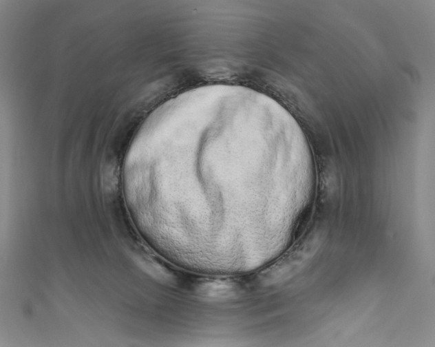 X0000110960081200907101336