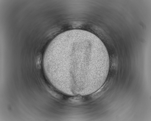 X0000110960082200907101337