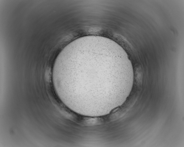 X0000110960083200907101337