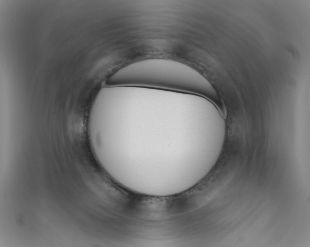 X0000110960084200907101337