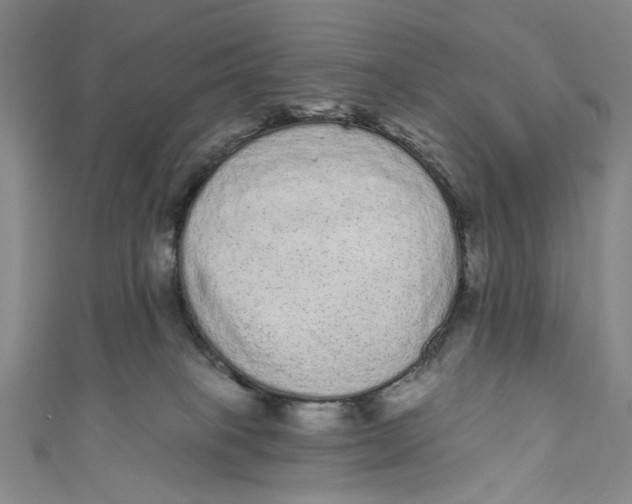 X0000110960085200907101337