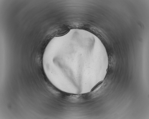 X0000110960086200907101337