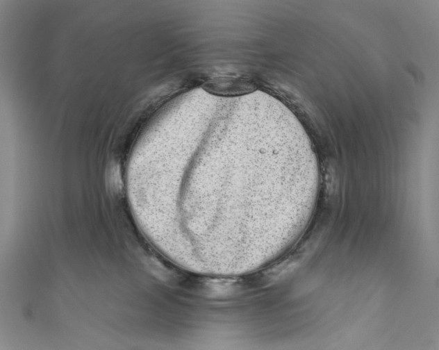 X0000110960089200907101337