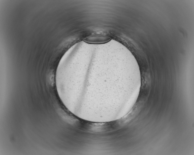 X0000110960090200907101337