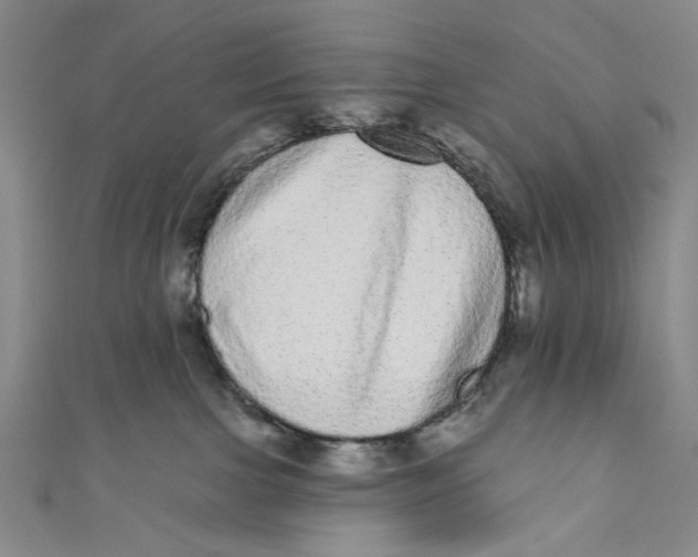 X0000110960091200907101337