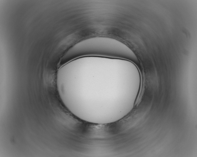 X0000110960092200907101337