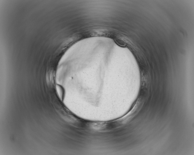 X0000110960094200907101337