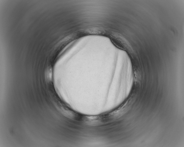 X0000110960095200907101337