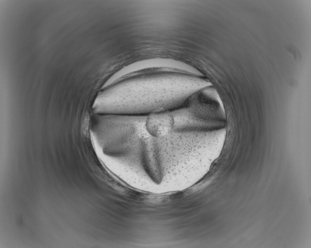 X0000110960096200907101337