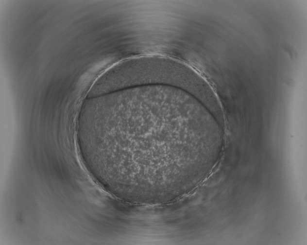 X0000110960097200907101336