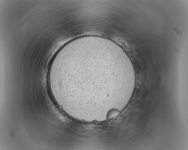 X0000110960098200907101336