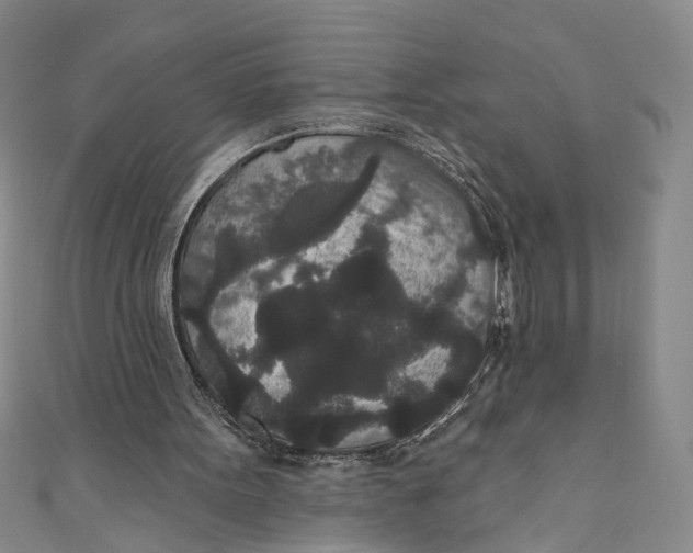 X0000110960099200907101336