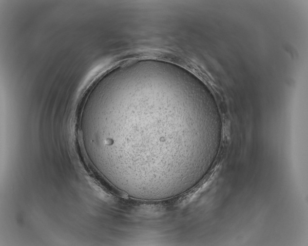 X0000110960101200907101336