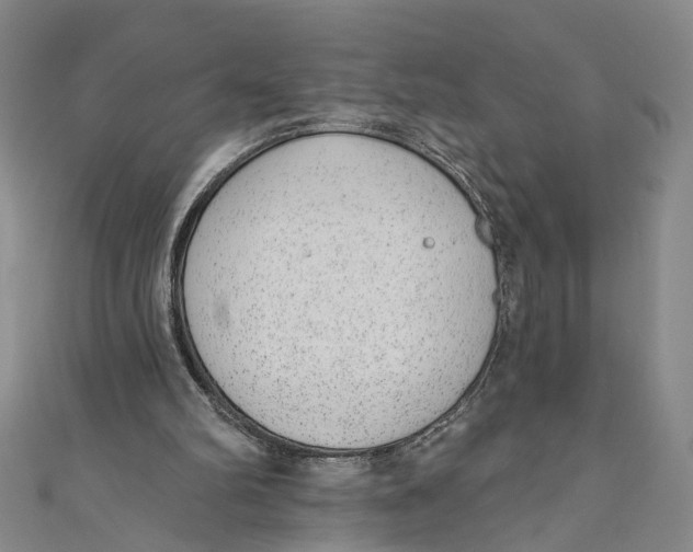 X0000110960102200907101336