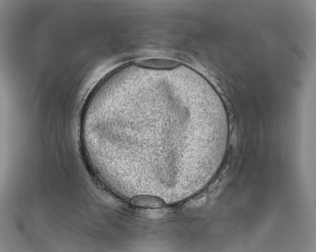 X0000110960103200907101336