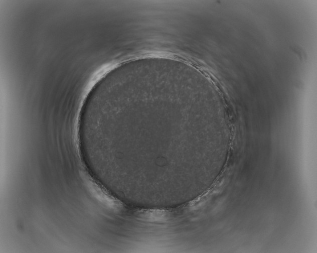 X0000110960104200907101336