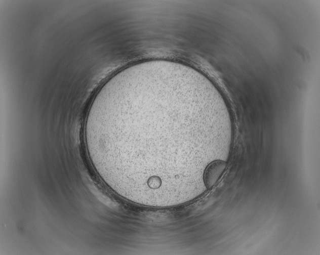 X0000110960106200907101336