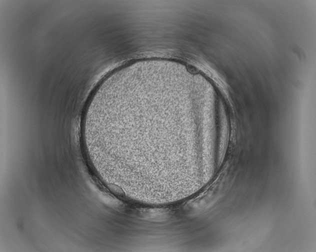 X0000110960107200907101336