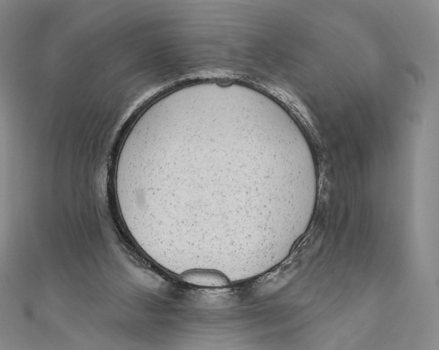 X0000110960108200907101336